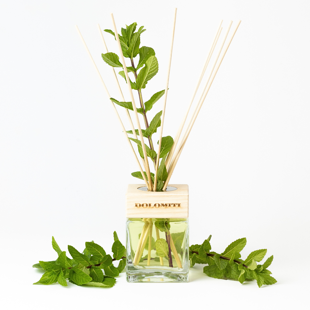 Diffusore a bastoncini alla menta dolomitica Dolomiti Italia con foglie di menta fresca