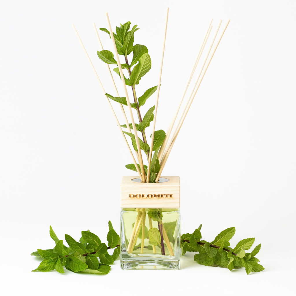 Balea Olio Da Bagno Alle Erbe Con Olio Di Timo E Menta, 500 Ml | Dm Italia - Foto 3